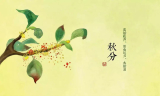 640 (8)_副本.jpg